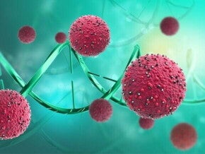 Ilustração digital de células vermelhas próximas a uma hélice de DNA em fundo esverdeado.